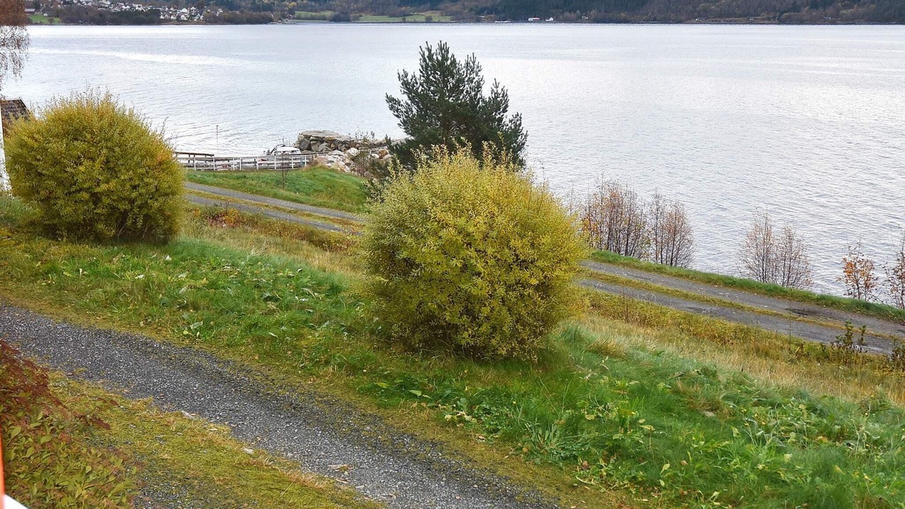 Photo of Outdoor in Glomset
