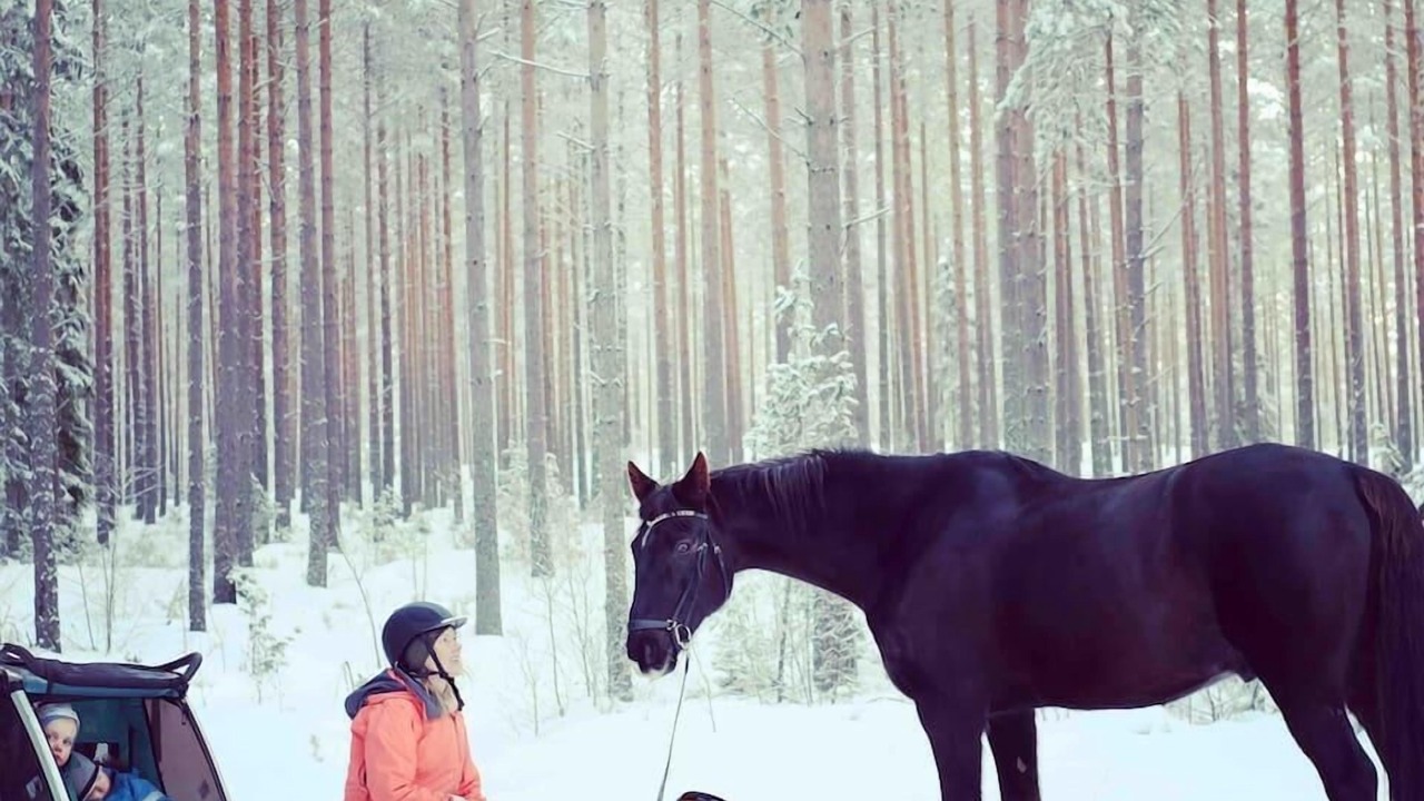 Photo of Others in Horndal