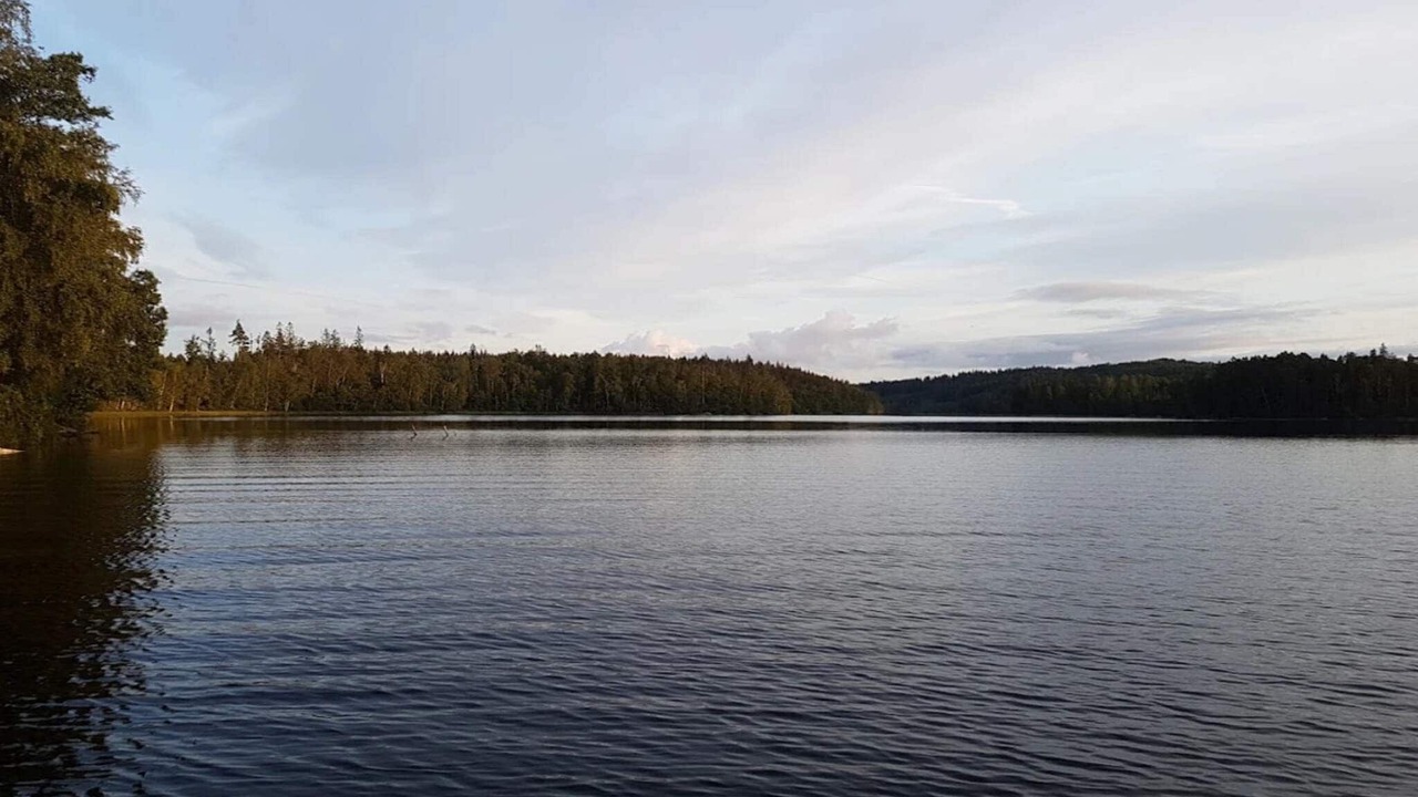 Photo of Others in Rorvik