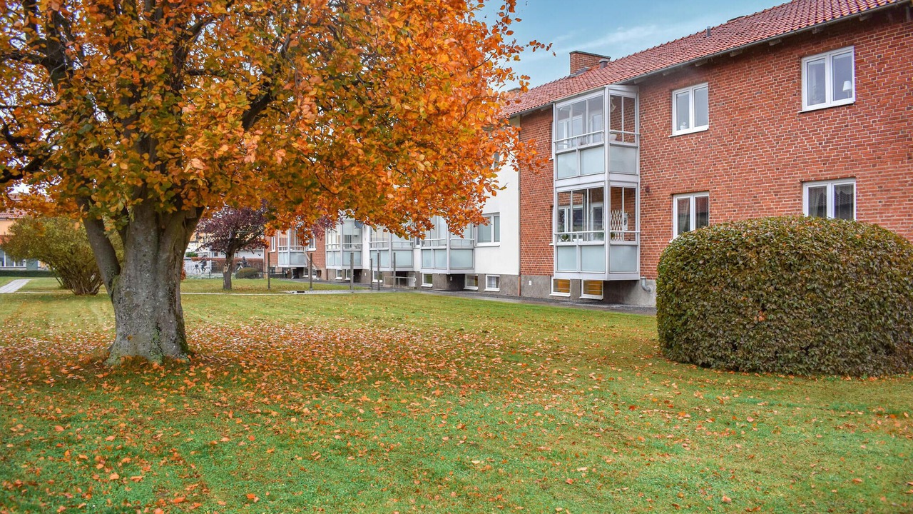 Photo of Others in Gamla Staden-Sandskogen