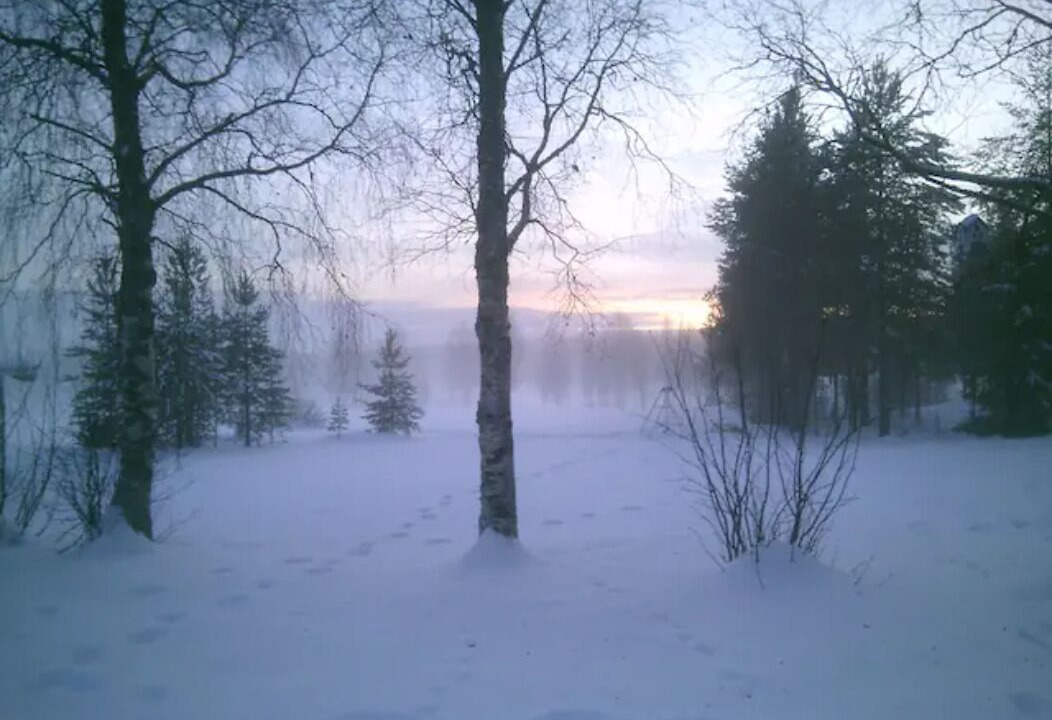Photo of Others in Bastutrask