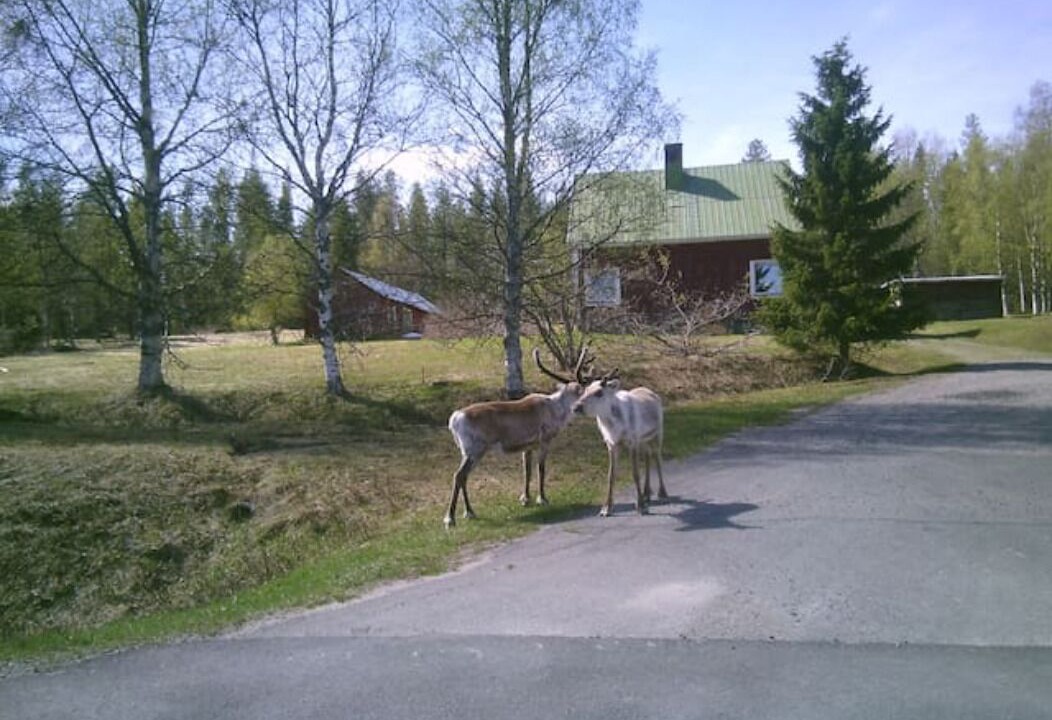 Photo of Outdoor in Bastutrask