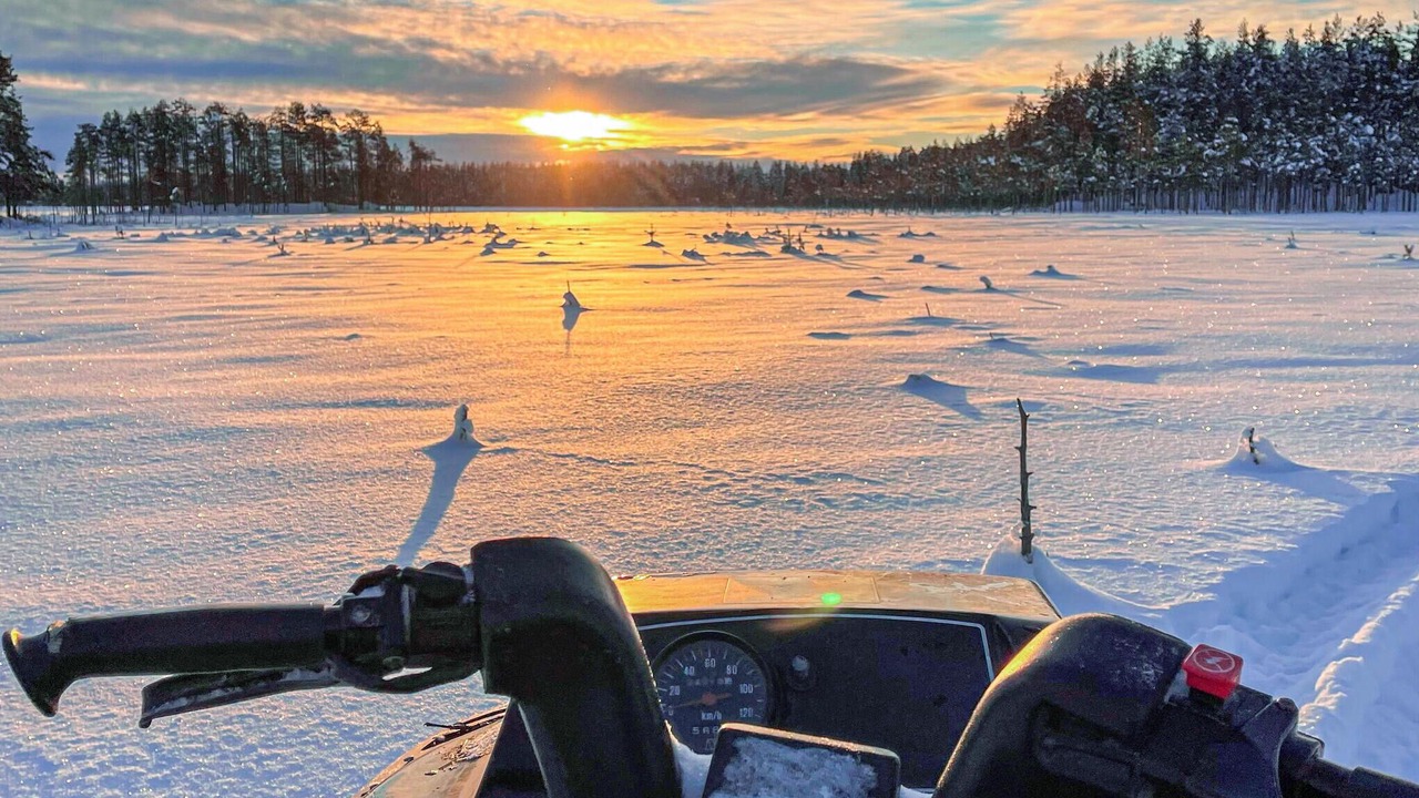 Photo of Others in Rosvik