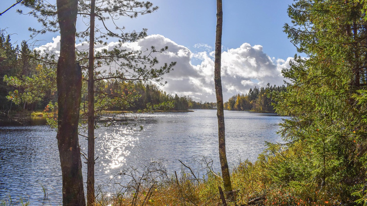 Photo of Others in Langaryd