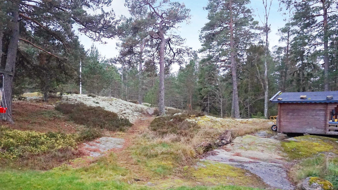 Photo of Outdoor in Ingaro