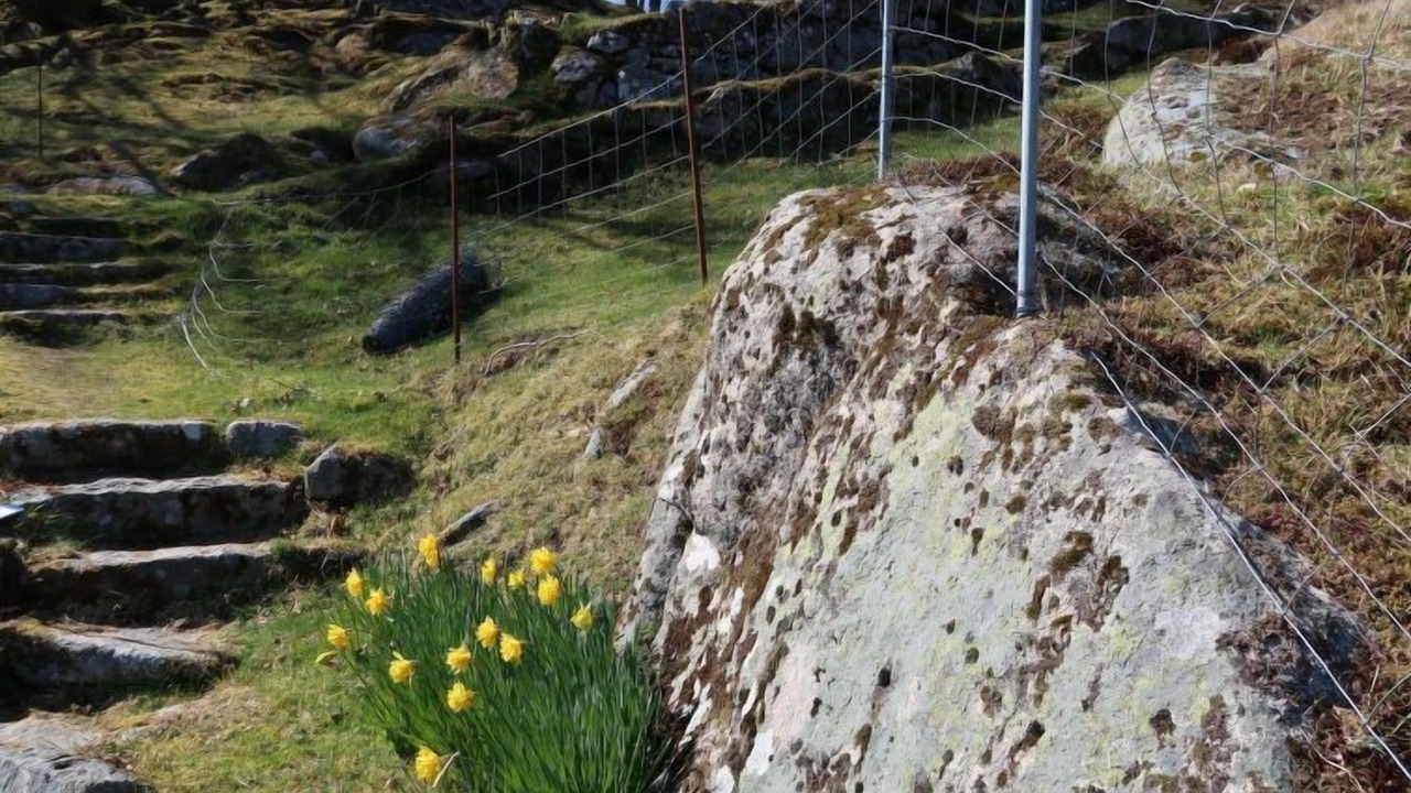Photo of Outdoor in Torangsvag