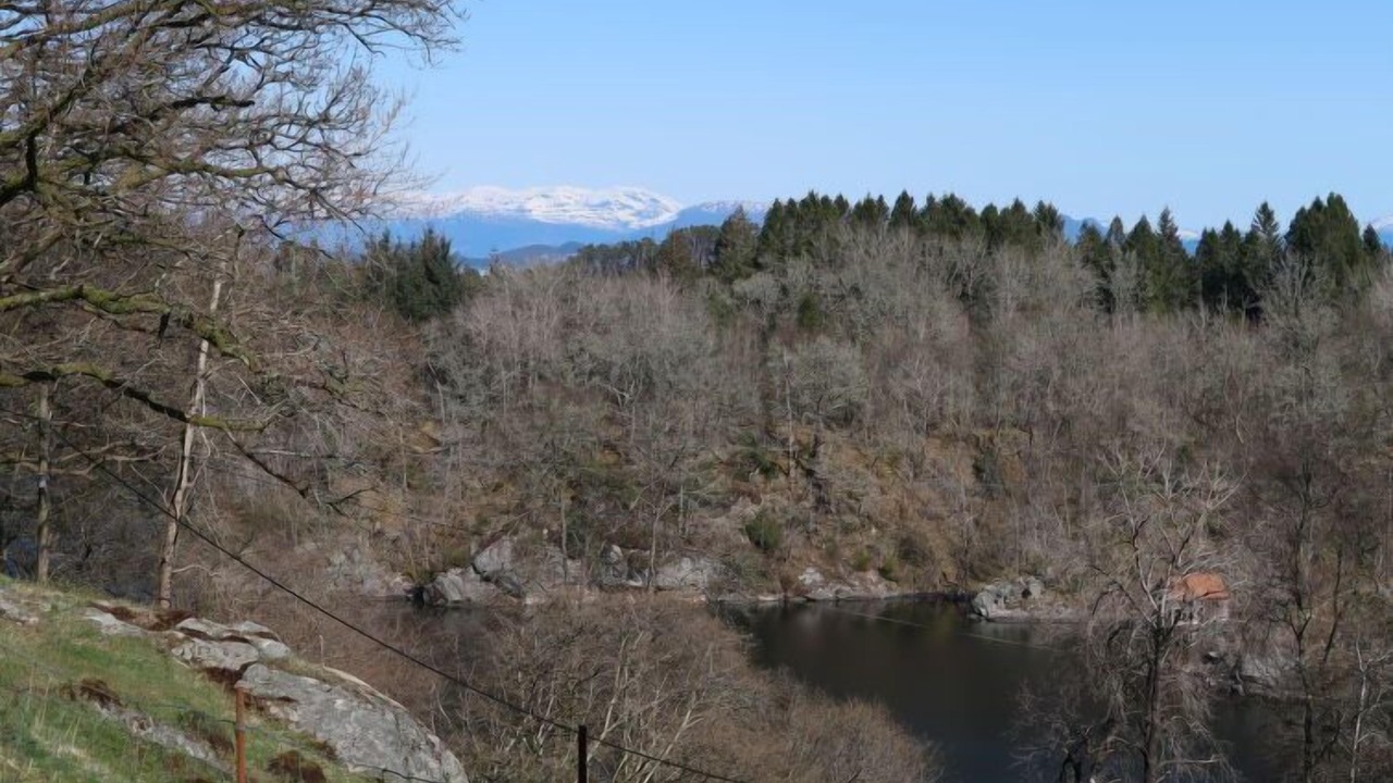 Photo of Others in Torangsvag