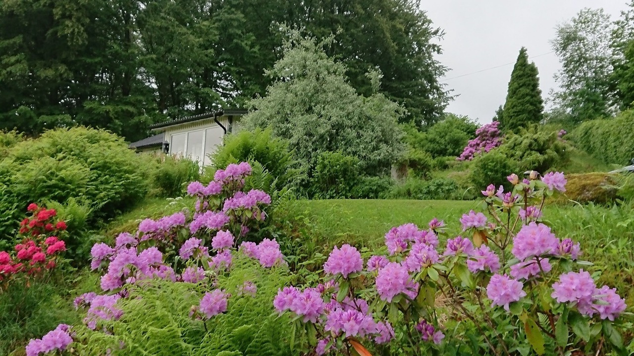 Photo of Outdoor in Laholm