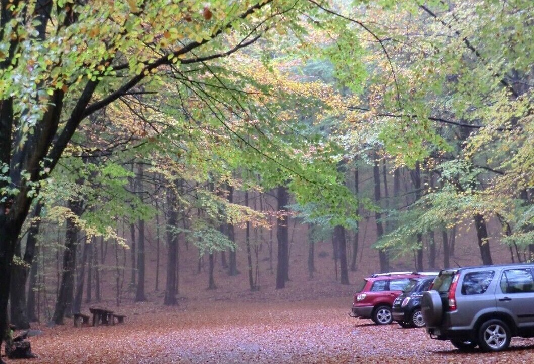 Photo of Outdoor in Laholm
