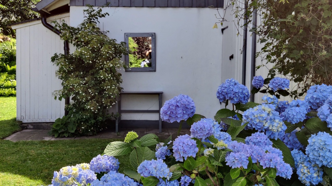 Photo of Outdoor in Laholm