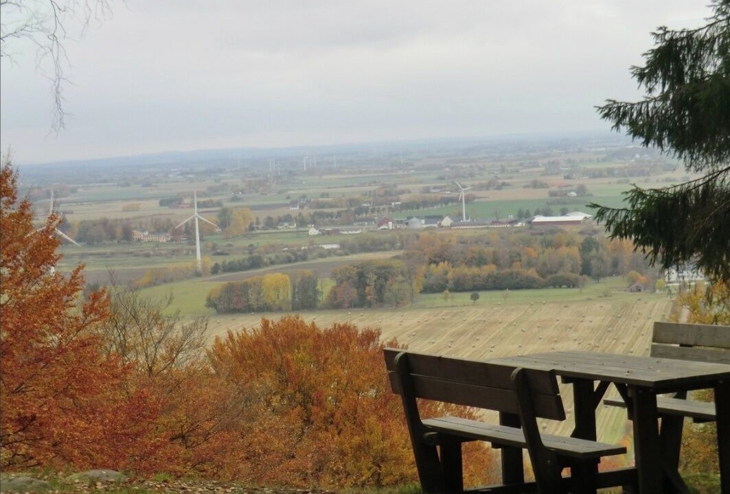Photo of Outdoor in Laholm