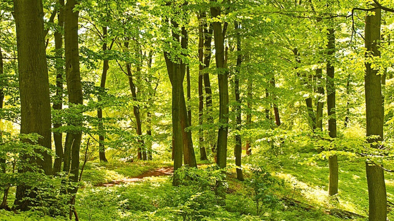 Photo of Outdoor in Ullared