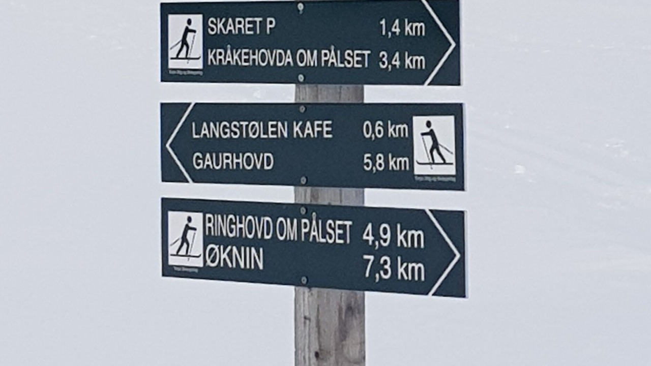 Photo of Others in Gol Municipality