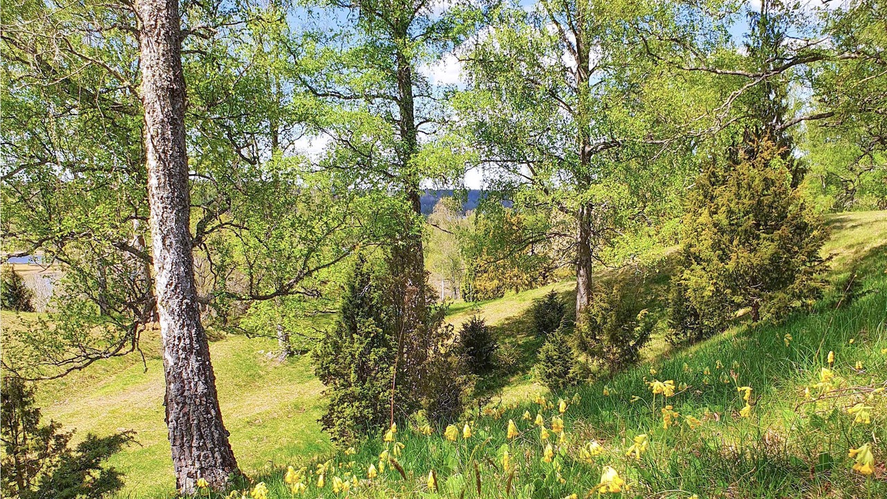 Photo of Outdoor in Sodra Vi