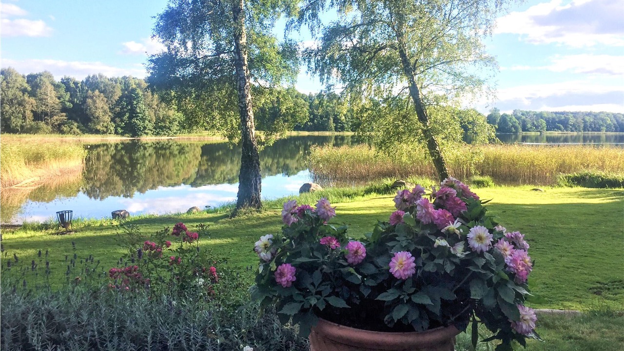 Photo of Outdoor in Hoor