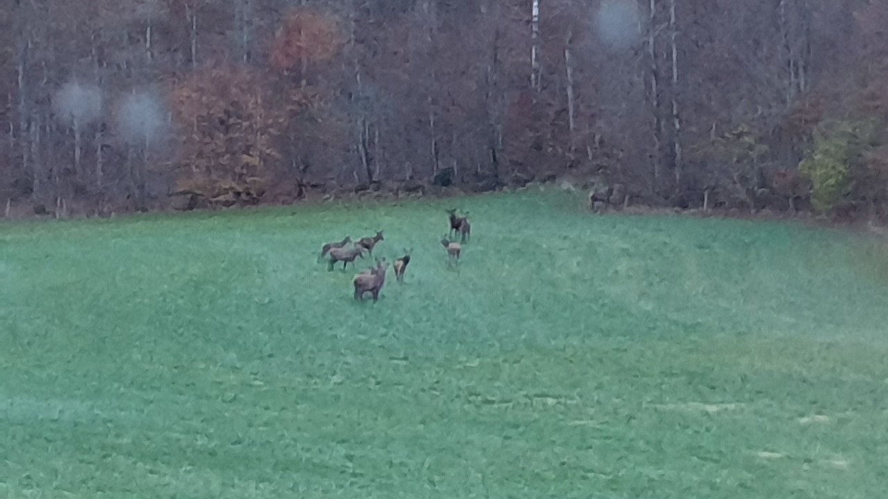 Photo of Others in Olofstrom