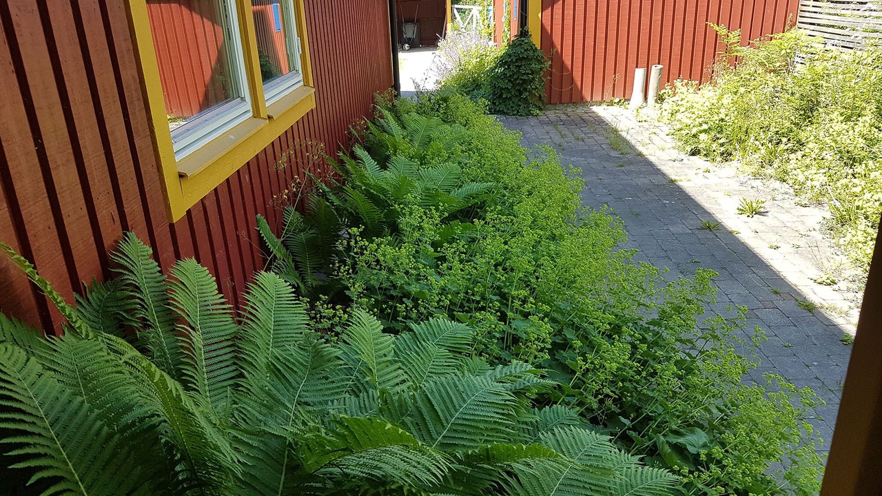 Photo of Outdoor in Hestra