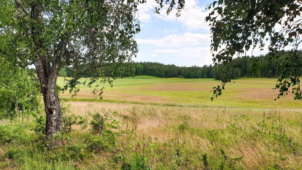 Photo of Outdoor in Saffle Municipality