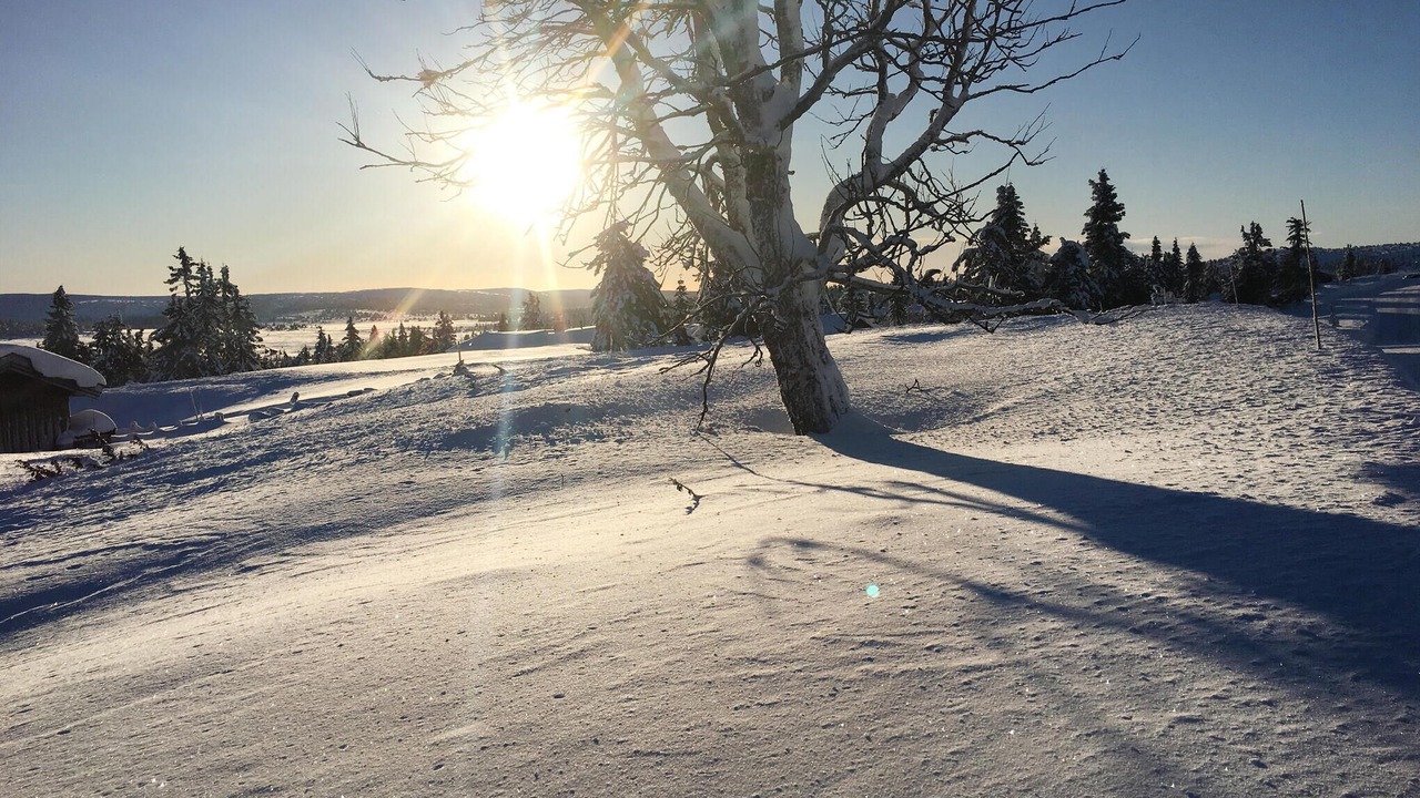 Photo of Others in Sjusjoen
