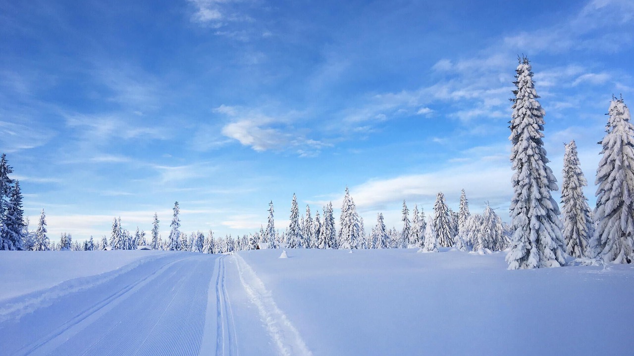 Photo of Others in Sjusjoen
