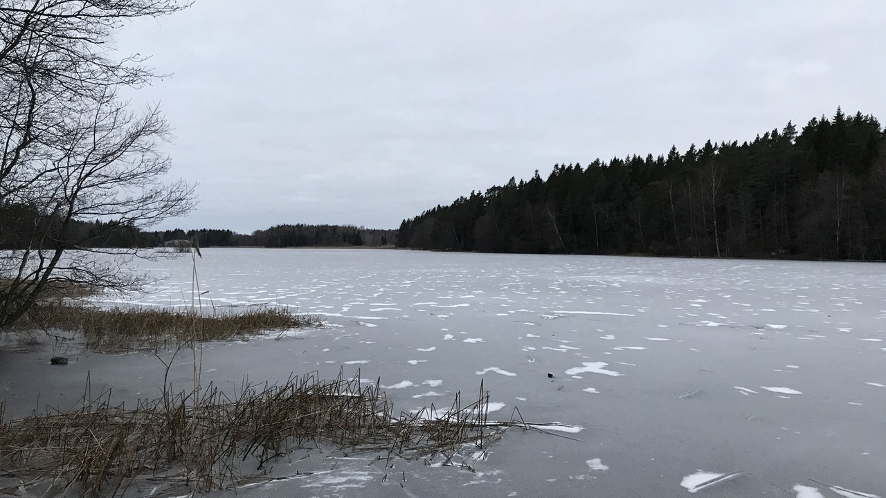Photo of Others in Norrtalje Municipality