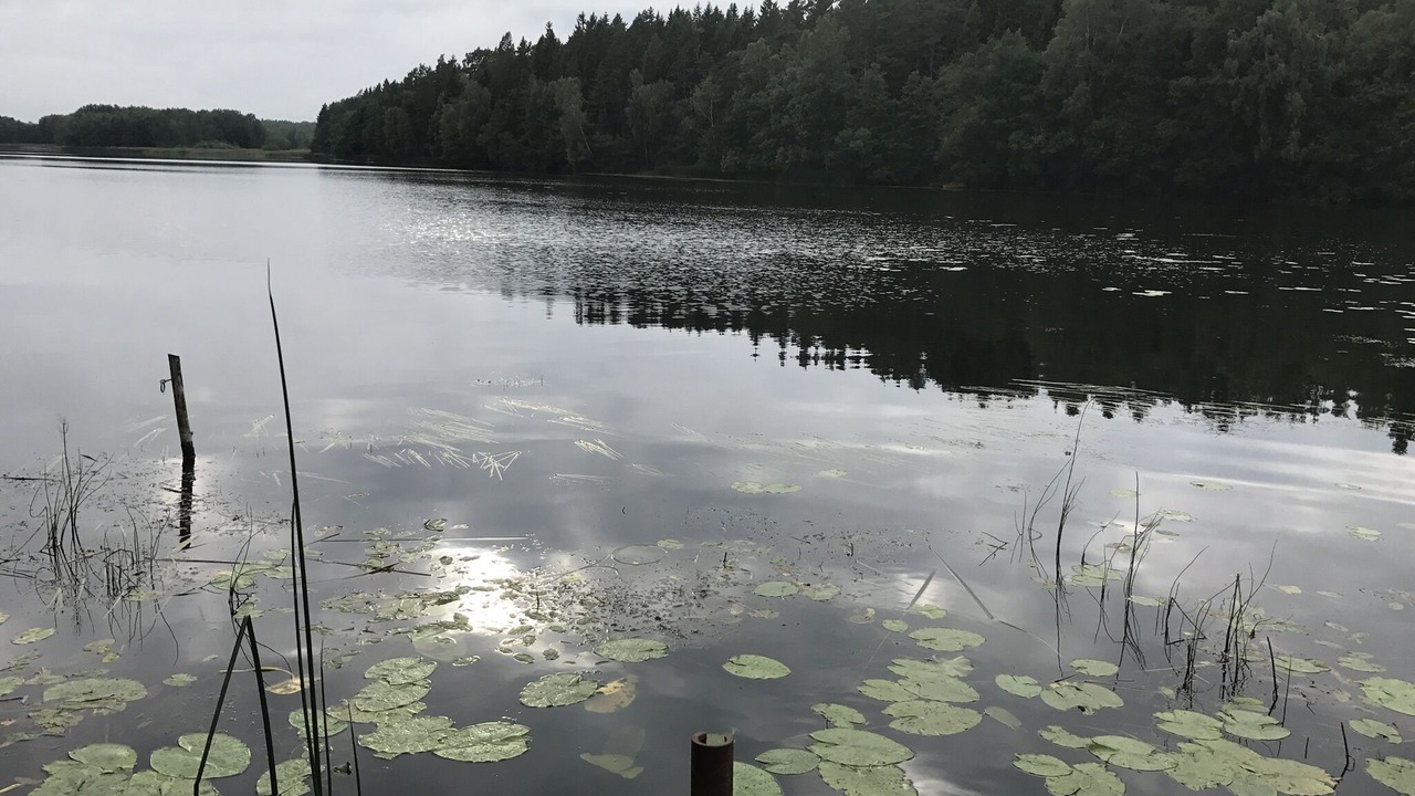 Photo of Outdoor in Norrtalje Municipality