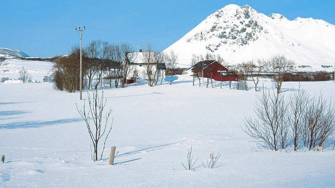 Photo of Others in Vestvagøy