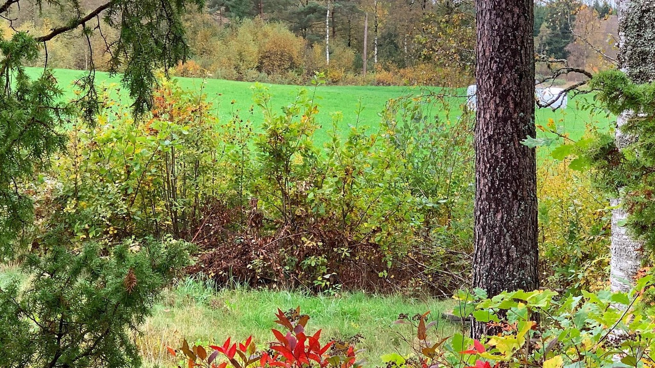 Photo of Outdoor in Holsljunga