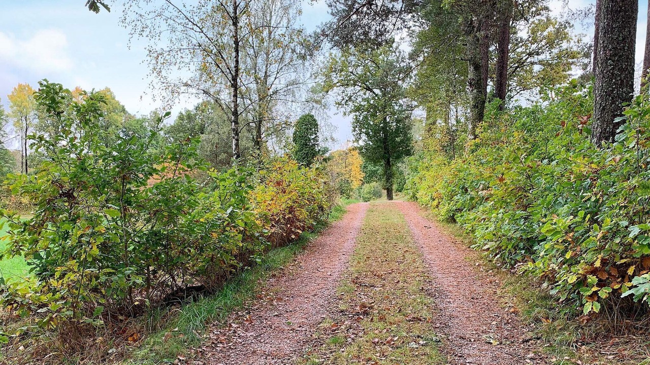 Photo of Outdoor in Holsljunga