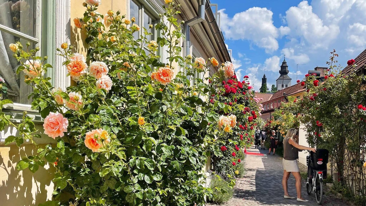 Photo of Outdoor in Vibble
