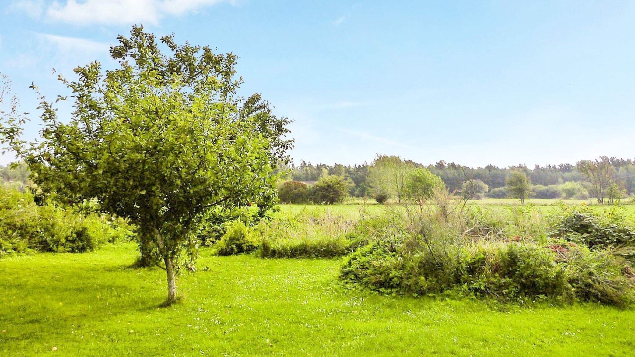 Photo of Outdoor in Vibble
