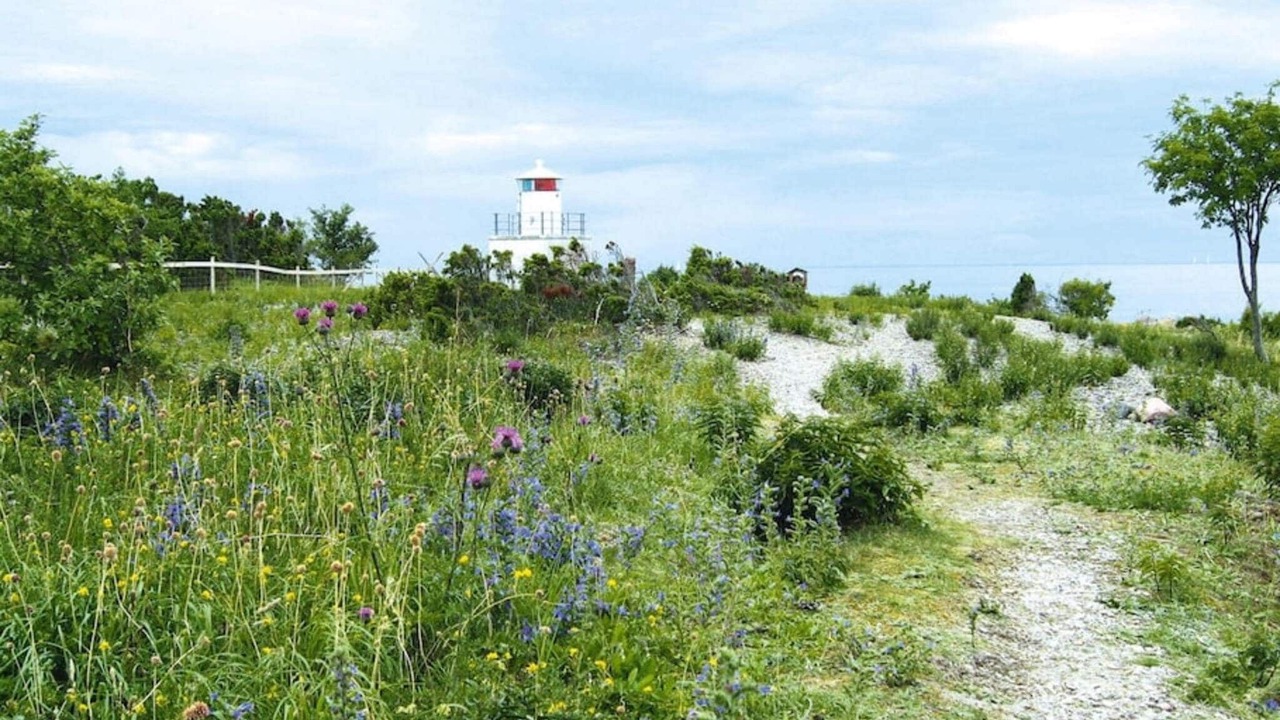 Photo of Others in Byxelkrok