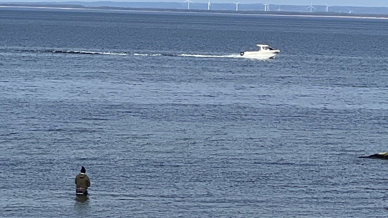 Photo of Others in Bastad