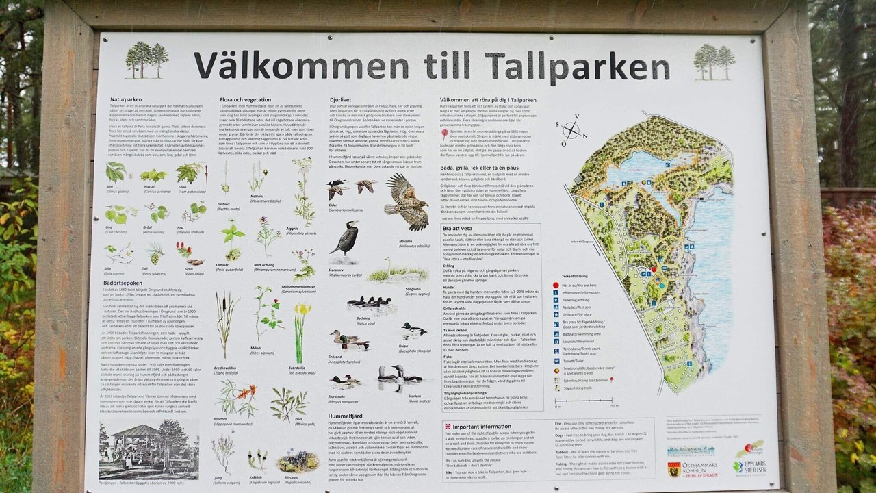 Photo of Others in Oregrund