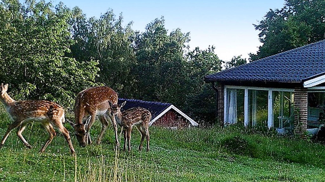 Photo of Outdoor in Lund Municipality