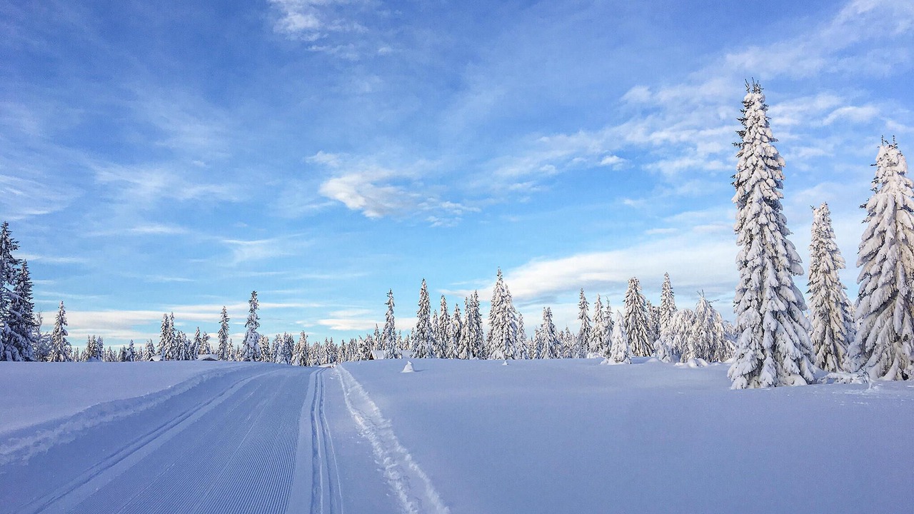 Photo of Others in Sjusjoen