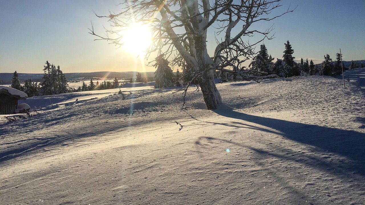 Photo of Others in Sjusjoen