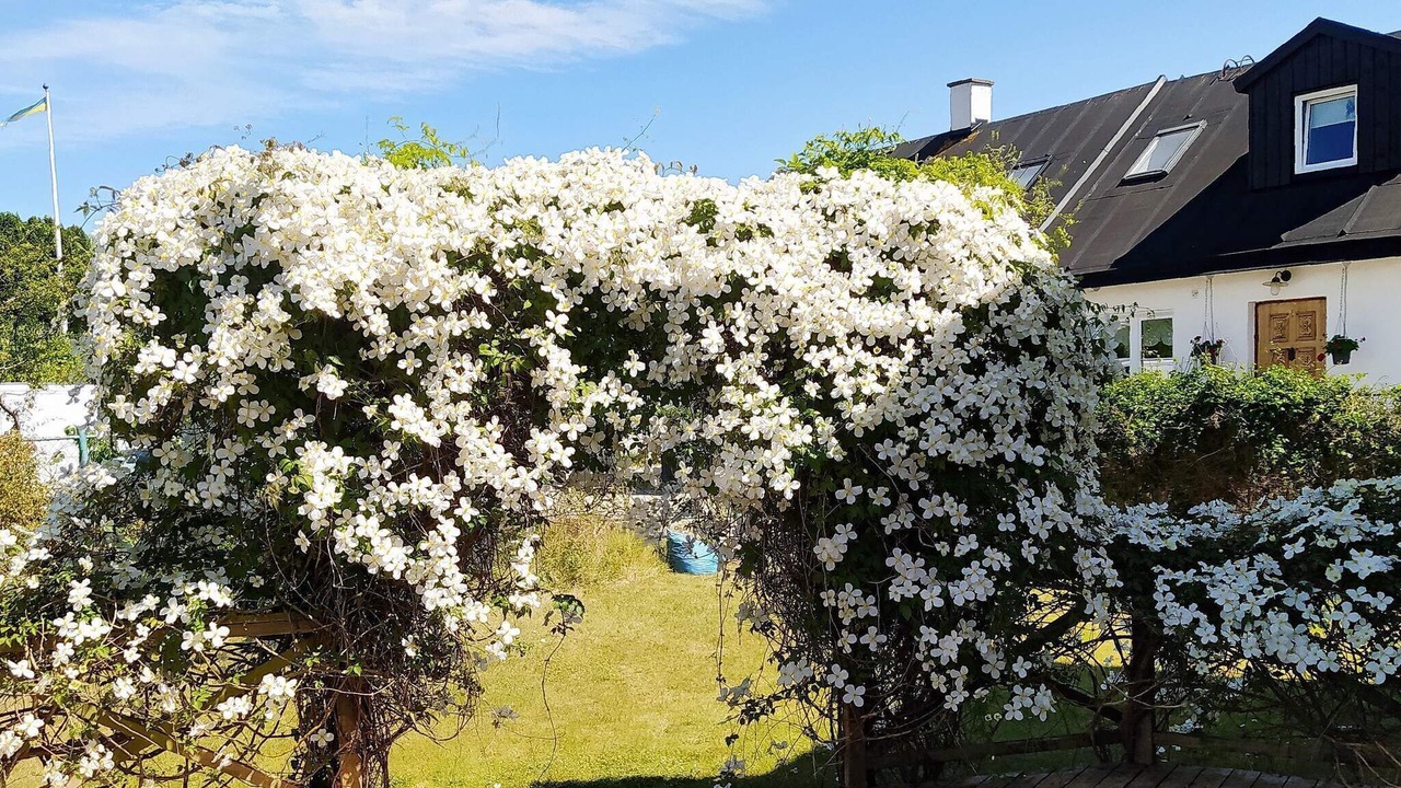 Photo of Outdoor in Smygehamn
