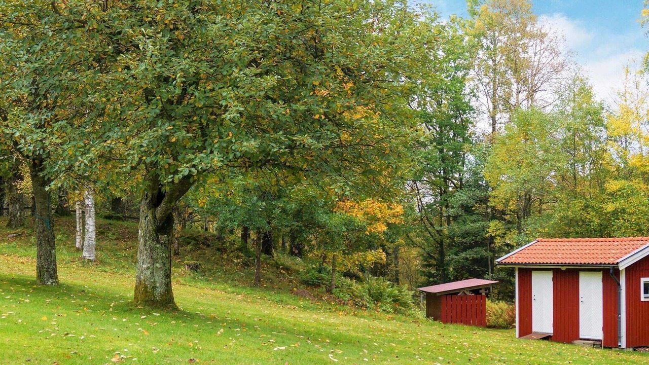 Photo of Outdoor in Aplared