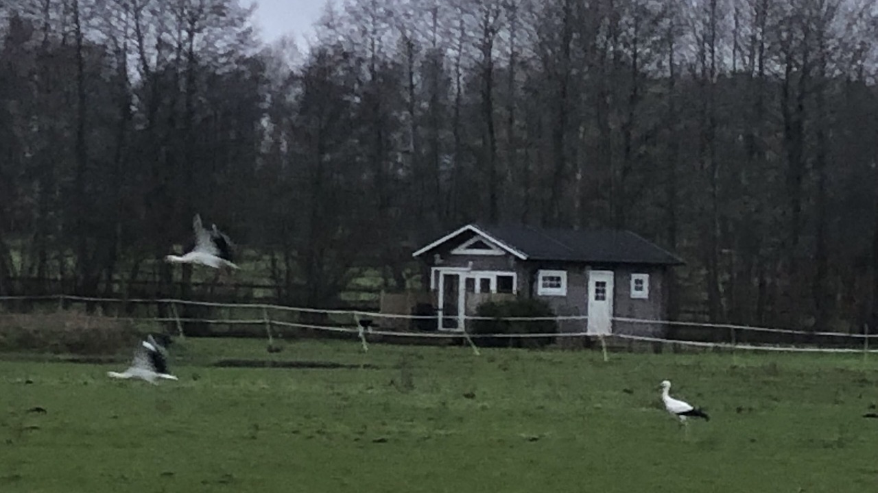 Photo of Outdoor in Blentarp