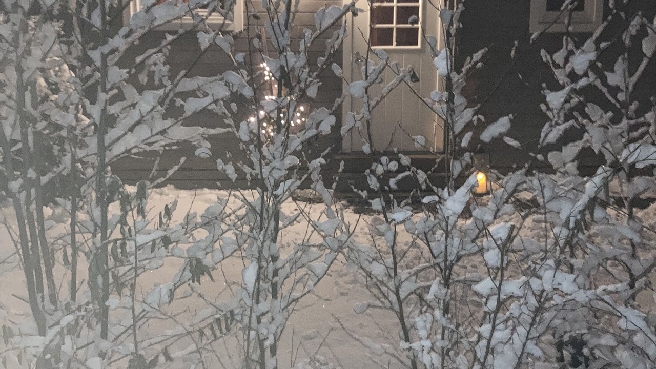 Photo of Outdoor in Blentarp
