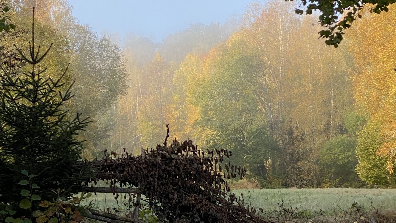 Photo of Outdoor in Virserum