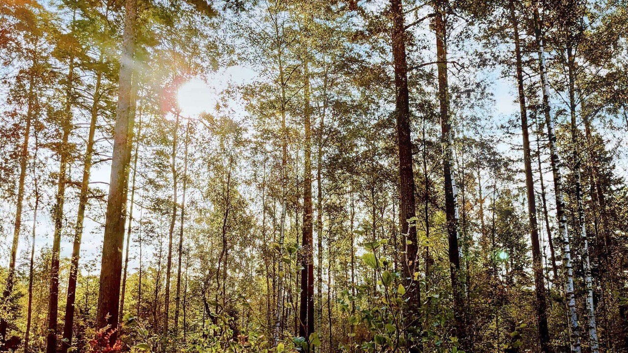 Photo of Outdoor in Vittsjo