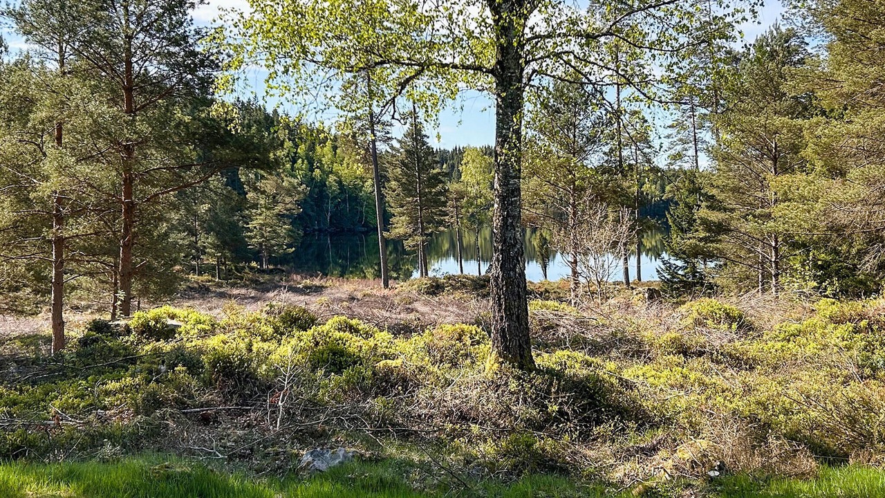 Photo of Bedroom in Fegen