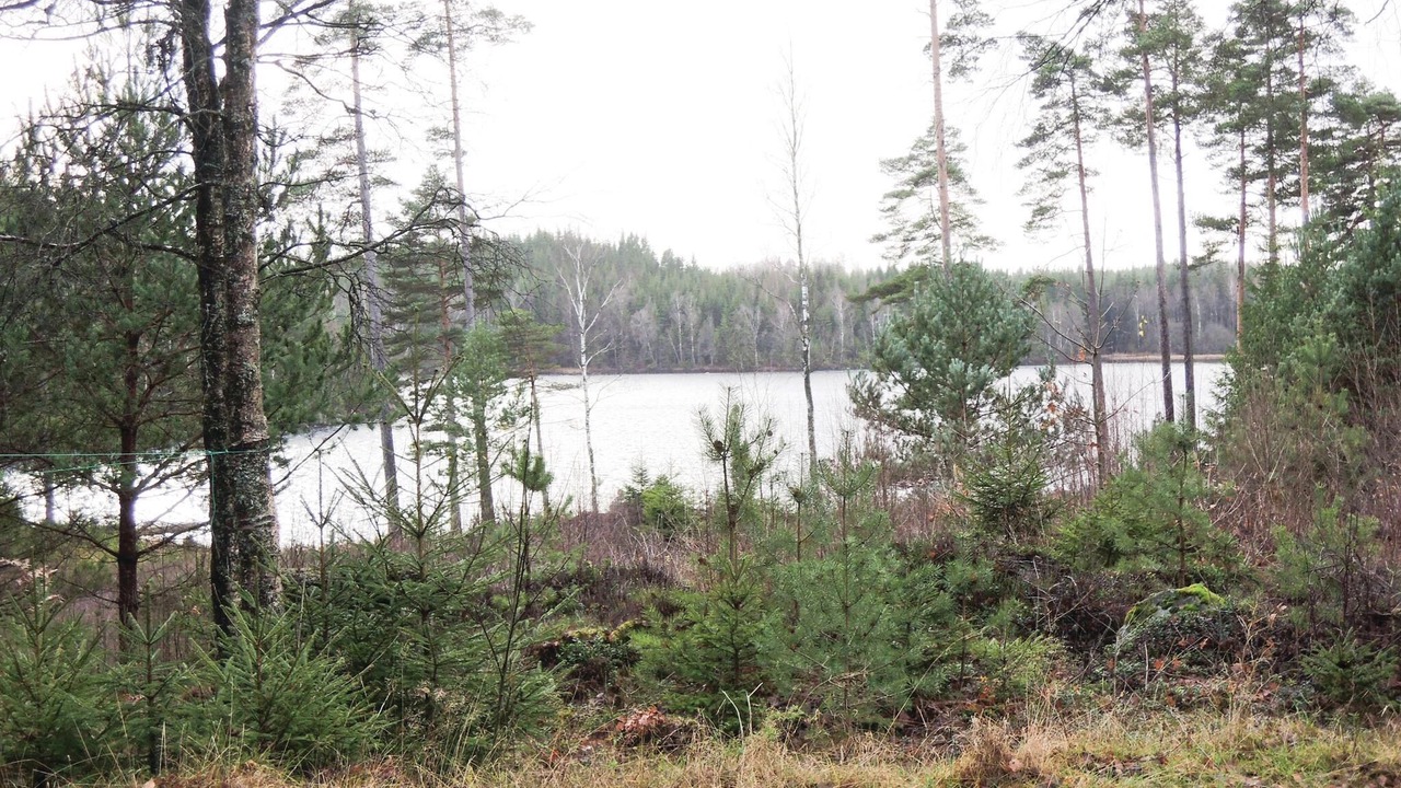 Photo of Others in Fegen