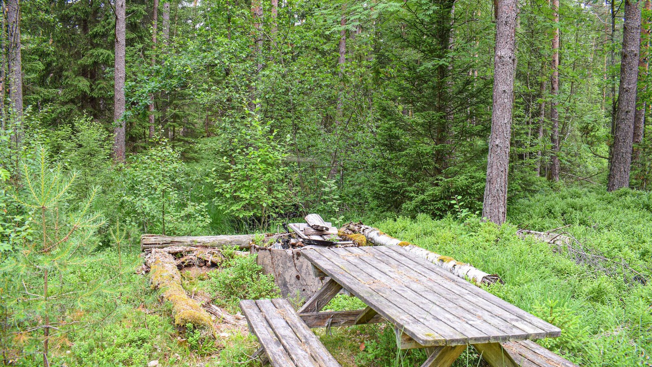 Photo of Others in Markaryd Municipality