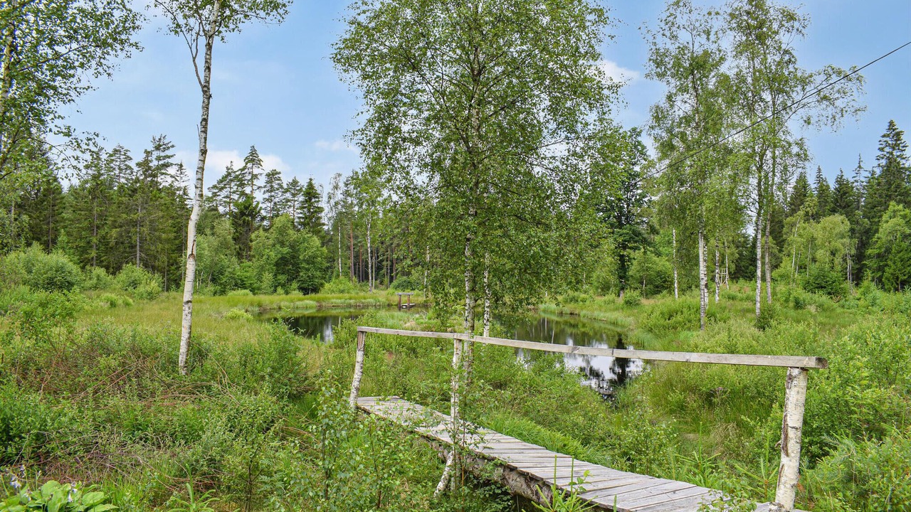 Photo of Others in Markaryd Municipality