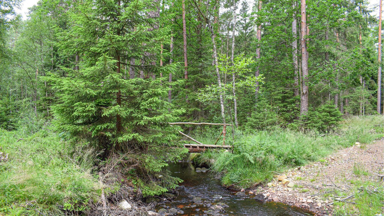 Photo of Others in Markaryd Municipality