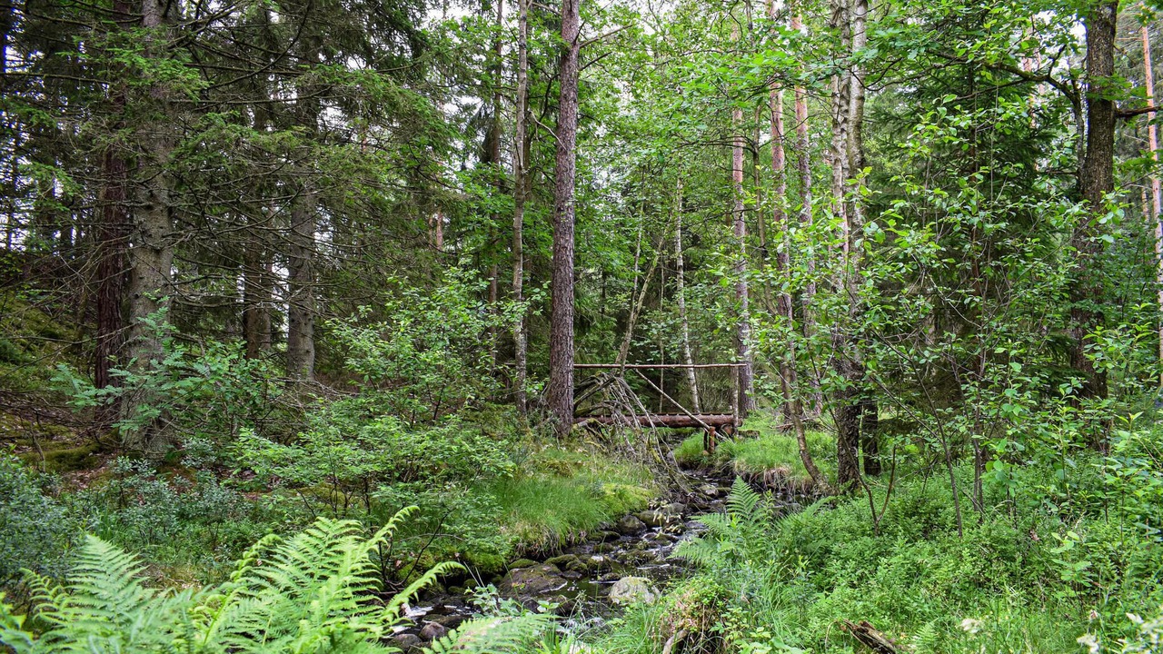 Photo of Others in Markaryd Municipality
