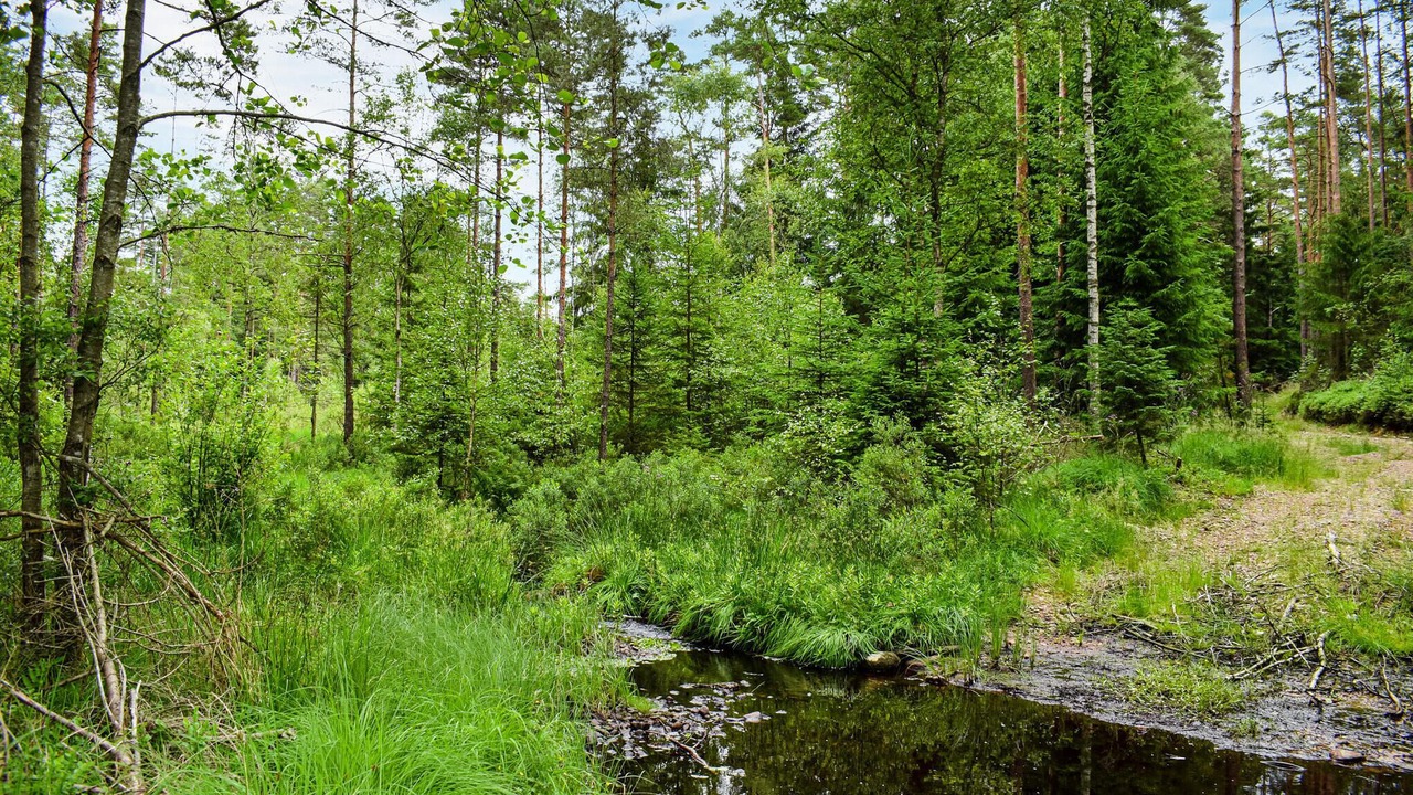 Photo of Others in Markaryd Municipality